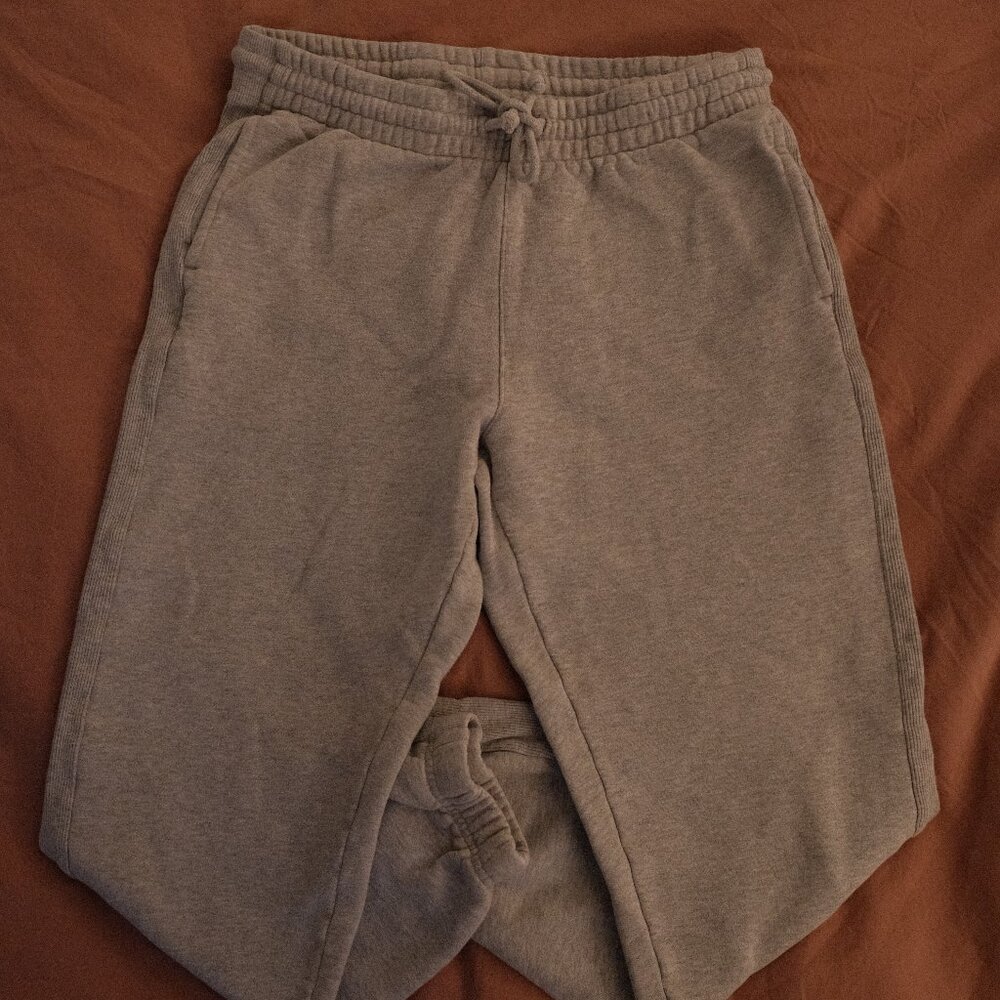 Aritzia TNA Cozy Fleece Boyfriend Sweatpant